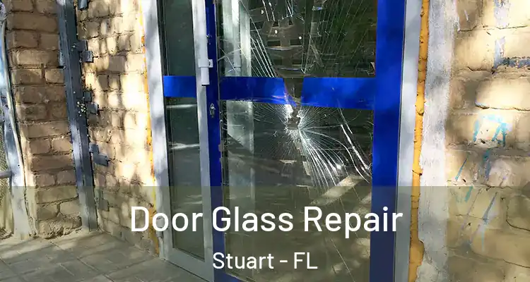  Door Glass Repair Stuart - FL