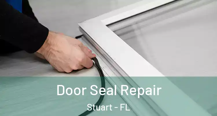  Door Seal Repair Stuart - FL